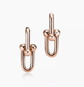 Tiffany&Co 18k Gold Plated 12 models Long Earrings Chain Link Diamond luxury Designer Jewelry for Women's Lock graduated Pavé Diamonds ✨ - buyonlinebehappy